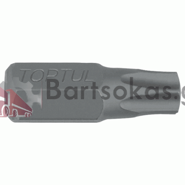 ΜΥΤΗ TORX 1/4 T10