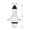 H4 24V 75/70W P43t 2ΤΕΜ.