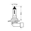 HIR2 12V 65W PX22d STANDARD LINE ΑΛΟΓΟΝΟΥ BLISTER 1ΤΕΜ.