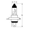 H4 ΑΛΟΓΟΝΟΥ 12V/60-55W P43t