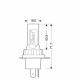 H4 12/24V P43t 6.500K 2.000lm 15W 12LED SEOUL CSP-Y19chips HALO LED SERIE 11 PLUG & BRITE 2ΤΕΜ.